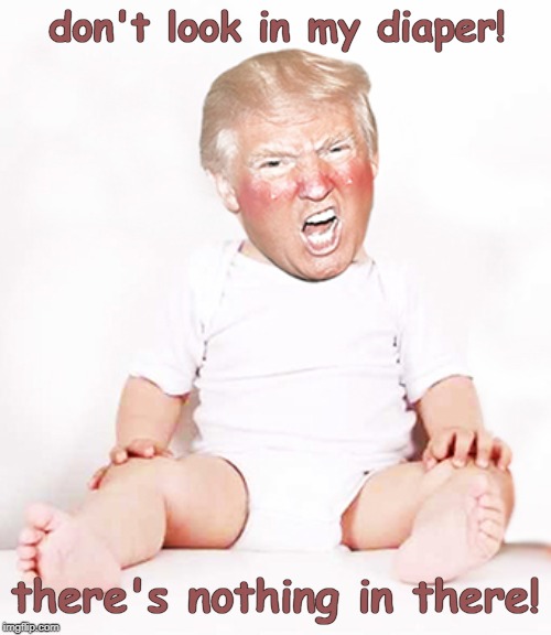 Nothing to Find Here |  don't look in my diaper! there's nothing in there! | image tagged in trump,trump family,trump mafia,tax returns,robert mueller | made w/ Imgflip meme maker