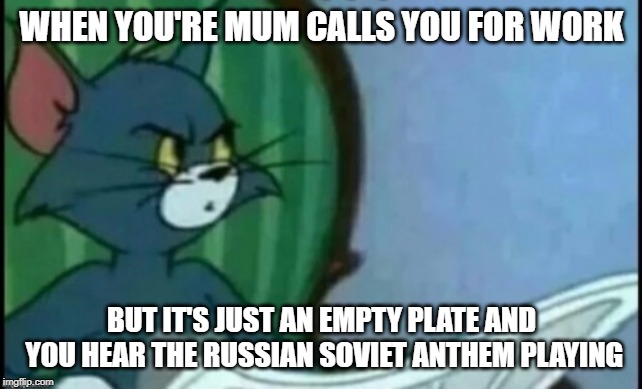 Tom is suspicious | WHEN YOU'RE MUM CALLS YOU FOR WORK; BUT IT'S JUST AN EMPTY PLATE AND YOU HEAR THE RUSSIAN SOVIET ANTHEM PLAYING | image tagged in tom is suspicious | made w/ Imgflip meme maker