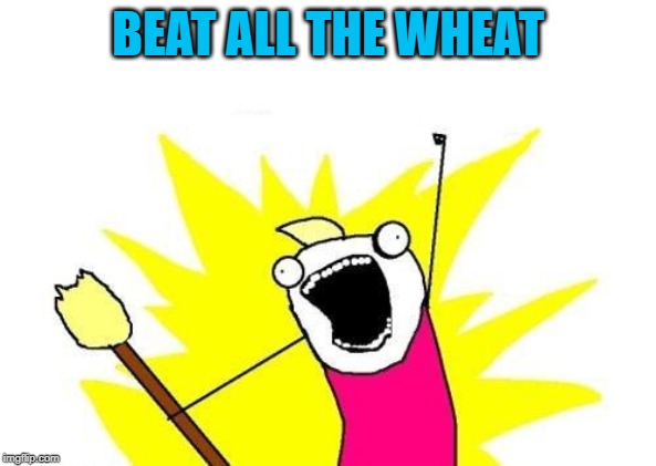 X All The Y Meme | BEAT ALL THE WHEAT | image tagged in memes,x all the y | made w/ Imgflip meme maker