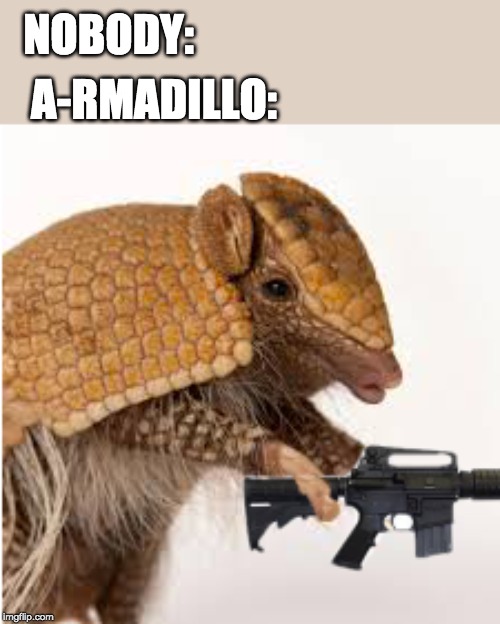 NOBODY:; A-RMADILLO: | image tagged in animals | made w/ Imgflip meme maker
