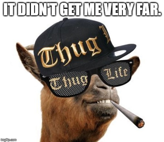 thug life camel | IT DIDN'T GET ME VERY FAR. | image tagged in thug life camel | made w/ Imgflip meme maker