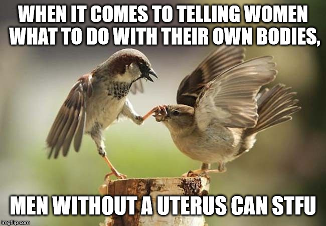 STFU | WHEN IT COMES TO TELLING WOMEN WHAT TO DO WITH THEIR OWN BODIES, MEN WITHOUT A UTERUS CAN STFU | image tagged in stfu | made w/ Imgflip meme maker