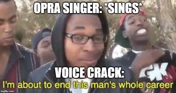 Absolutely Obvious | OPRA SINGER: *SINGS*; VOICE CRACK: | image tagged in im about to end this mans whole career | made w/ Imgflip meme maker