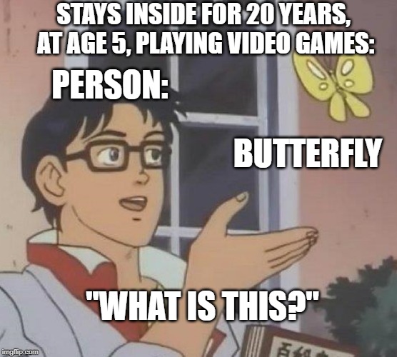 It Can't Be Possible! | STAYS INSIDE FOR 20 YEARS, AT AGE 5, PLAYING VIDEO GAMES:; PERSON:; BUTTERFLY; "WHAT IS THIS?" | image tagged in memes,is this a pigeon | made w/ Imgflip meme maker