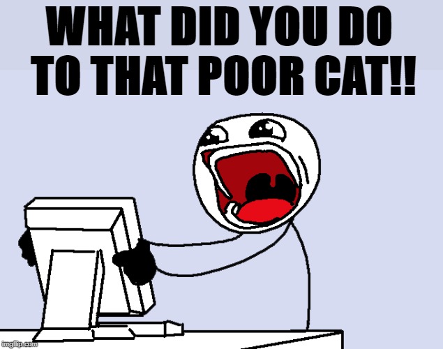 WHAT DID YOU DO TO THAT POOR CAT!! | made w/ Imgflip meme maker