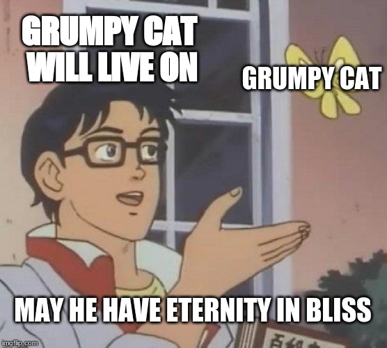 Is This A Pigeon Meme | GRUMPY CAT WILL LIVE ON; GRUMPY CAT; MAY HE HAVE ETERNITY IN BLISS | image tagged in memes,is this a pigeon | made w/ Imgflip meme maker