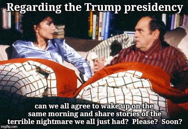 last scene Newhart | Regarding the Trump presidency; can we all agree to wake up on the same morning and share stories of the terrible nightmare we all just had?  Please?  Soon? | image tagged in last scene newhart | made w/ Imgflip meme maker