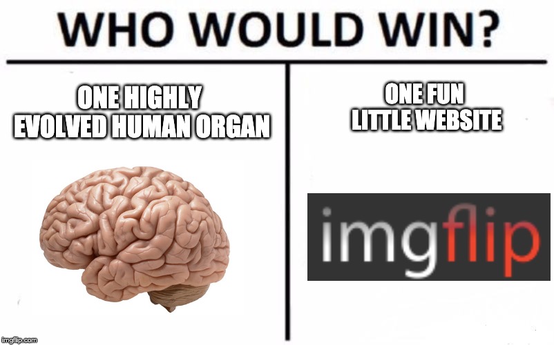 Who Would Win? | ONE FUN LITTLE WEBSITE; ONE HIGHLY EVOLVED HUMAN ORGAN | image tagged in memes,who would win,fun | made w/ Imgflip meme maker