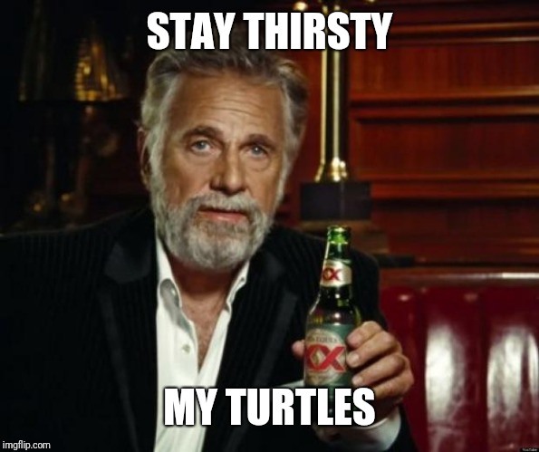 stay thirsty | STAY THIRSTY MY TURTLES | image tagged in stay thirsty | made w/ Imgflip meme maker