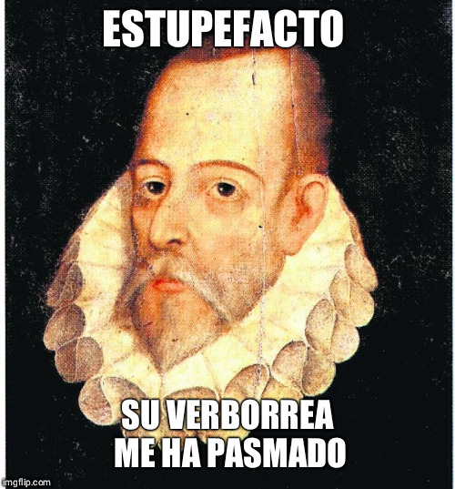 Cervantes | ESTUPEFACTO; SU VERBORREA ME HA PASMADO | image tagged in cervantes | made w/ Imgflip meme maker
