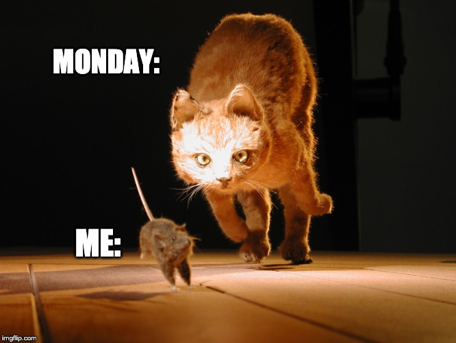 Mondays | MONDAY:; ME: | image tagged in monday,chase,fun | made w/ Imgflip meme maker