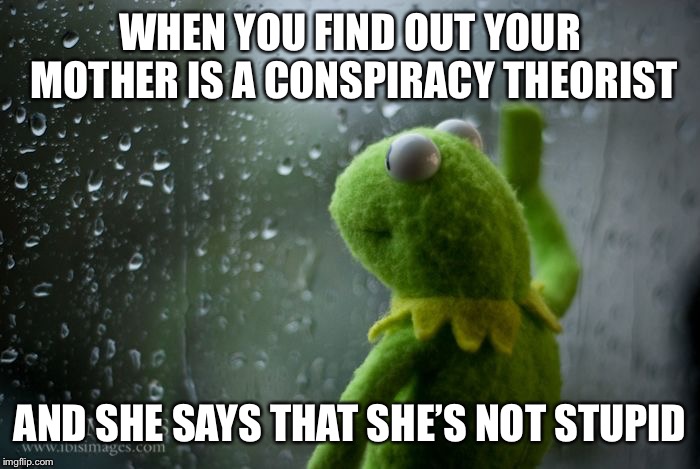 kermit window | WHEN YOU FIND OUT YOUR MOTHER IS A CONSPIRACY THEORIST; AND SHE SAYS THAT SHE’S NOT STUPID | image tagged in kermit window | made w/ Imgflip meme maker