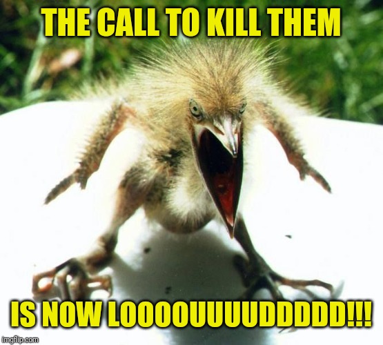 Angry bird | THE CALL TO KILL THEM IS NOW LOOOOUUUUDDDDD!!! | image tagged in angry bird | made w/ Imgflip meme maker