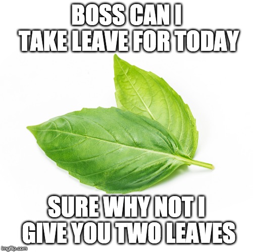 Take leaves | BOSS CAN I TAKE LEAVE FOR TODAY; SURE WHY NOT I GIVE YOU TWO LEAVES | image tagged in funny,work,boss,bossbelike,leaves,takeleave | made w/ Imgflip meme maker