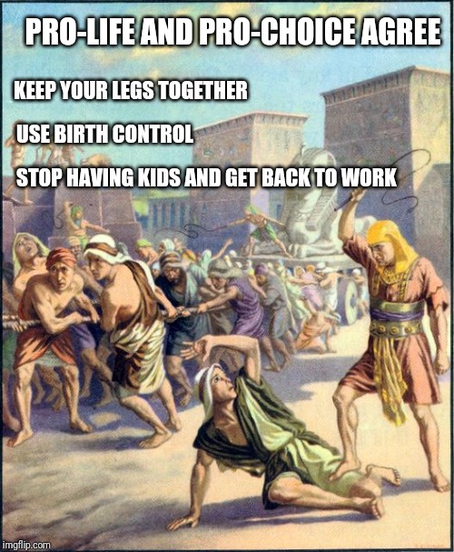 Slave driving | PRO-LIFE AND PRO-CHOICE AGREE; USE BIRTH CONTROL; KEEP YOUR LEGS TOGETHER; STOP HAVING KIDS AND GET BACK TO WORK | image tagged in slave driving | made w/ Imgflip meme maker