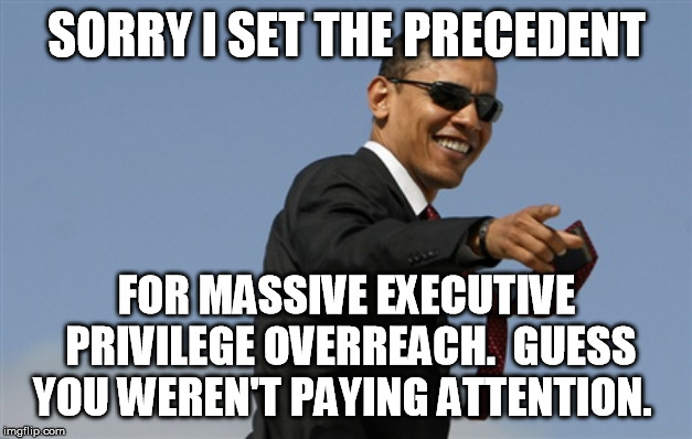 Cool Obama Meme | SORRY I SET THE PRECEDENT FOR MASSIVE EXECUTIVE PRIVILEGE OVERREACH.  GUESS YOU WEREN'T PAYING ATTENTION. | image tagged in memes,cool obama | made w/ Imgflip meme maker