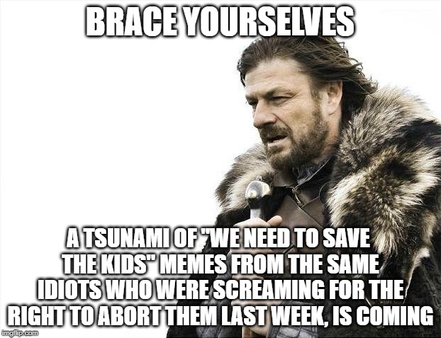 Brace Yourselves X is Coming Meme | BRACE YOURSELVES; A TSUNAMI OF "WE NEED TO SAVE THE KIDS" MEMES FROM THE SAME IDIOTS WHO WERE SCREAMING FOR THE RIGHT TO ABORT THEM LAST WEEK, IS COMING | image tagged in memes,brace yourselves x is coming | made w/ Imgflip meme maker