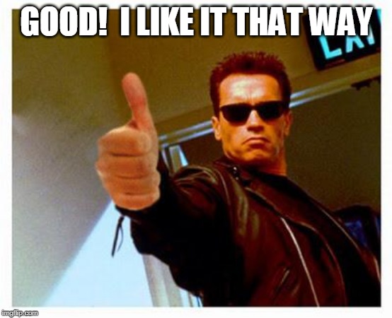 terminator thumbs up | GOOD!  I LIKE IT THAT WAY | image tagged in terminator thumbs up | made w/ Imgflip meme maker