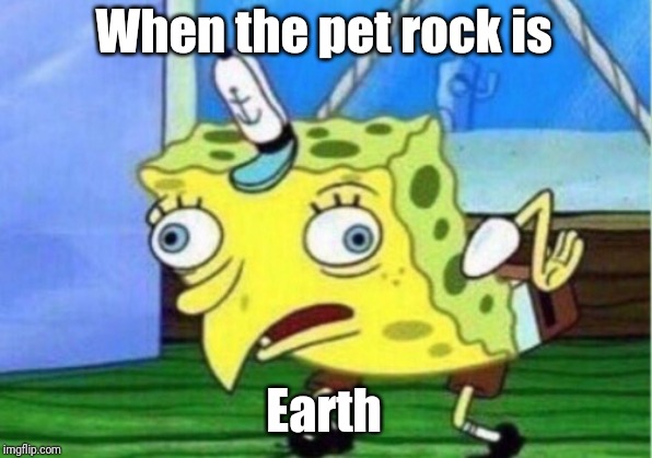 Mocking Spongebob | When the pet rock is; Earth | image tagged in memes,mocking spongebob | made w/ Imgflip meme maker