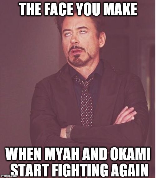 Face You Make Robert Downey Jr Meme | THE FACE YOU MAKE; WHEN MYAH AND OKAMI START FIGHTING AGAIN | image tagged in memes,face you make robert downey jr | made w/ Imgflip meme maker