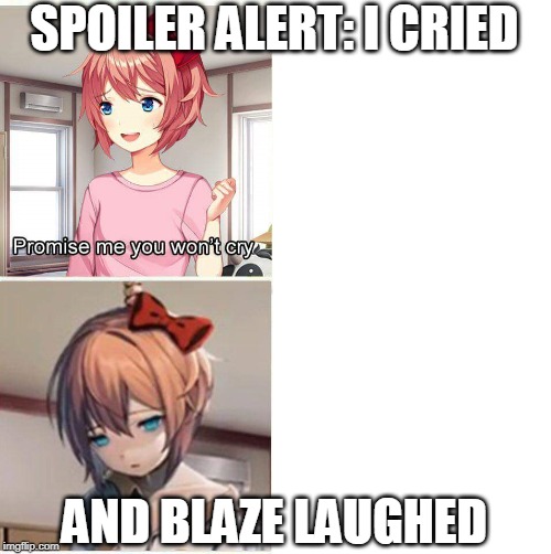 Promise you won't cry | SPOILER ALERT: I CRIED; AND BLAZE LAUGHED | image tagged in promise you won't cry | made w/ Imgflip meme maker