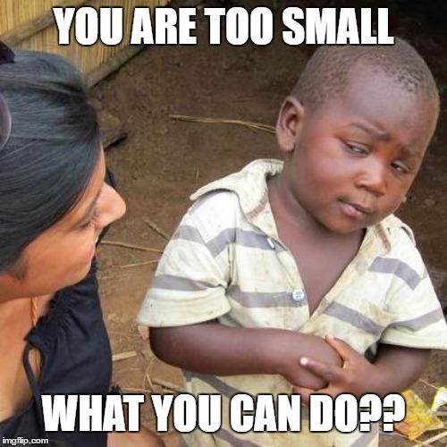 Third World Skeptical Kid Meme | YOU ARE TOO SMALL; WHAT YOU CAN DO?? | image tagged in memes,third world skeptical kid | made w/ Imgflip meme maker