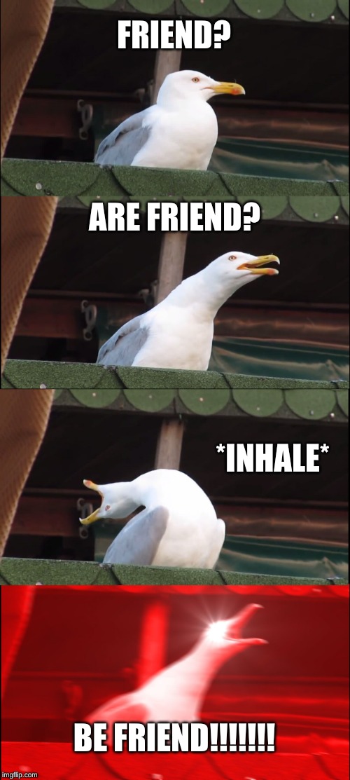 Inhaling Seagull | FRIEND? ARE FRIEND? *INHALE*; BE FRIEND!!!!!!! | image tagged in memes,inhaling seagull | made w/ Imgflip meme maker