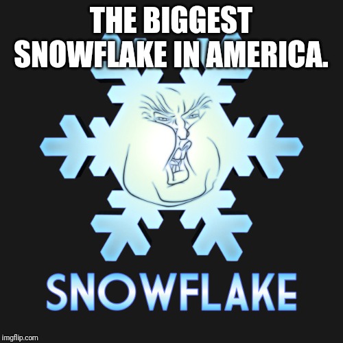 Memes | THE BIGGEST SNOWFLAKE IN AMERICA. | image tagged in creepy condescending wonka | made w/ Imgflip meme maker