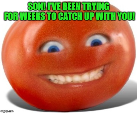 Tomato | SON! I'VE BEEN TRYING FOR WEEKS TO CATCH UP WITH YOU! | image tagged in tomato | made w/ Imgflip meme maker