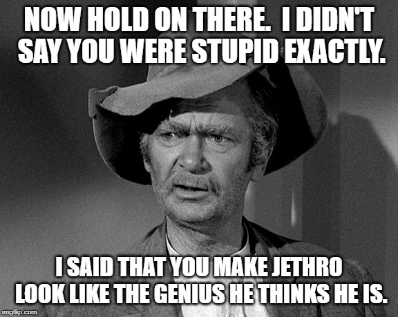 What in tarnation | NOW HOLD ON THERE.  I DIDN'T SAY YOU WERE STUPID EXACTLY. I SAID THAT YOU MAKE JETHRO LOOK LIKE THE GENIUS HE THINKS HE IS. | image tagged in what in tarnation | made w/ Imgflip meme maker