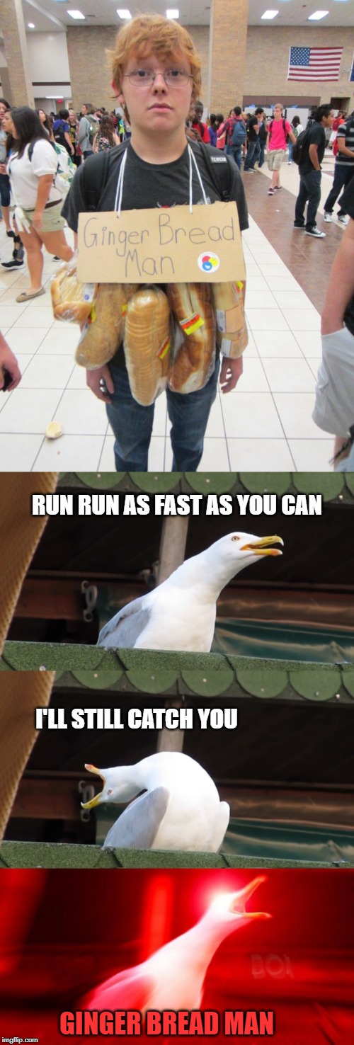 A twist on the classic tale, you wouldn't want to go outside sporting that. | RUN RUN AS FAST AS YOU CAN; I'LL STILL CATCH YOU; GINGER BREAD MAN | image tagged in inhaling seagull,gingerbread man,hungry,angry birds,unlucky ginger kid,dress code | made w/ Imgflip meme maker