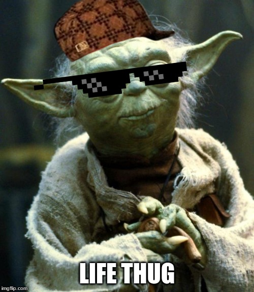 Star Wars Yoda | LIFE THUG | image tagged in memes,star wars yoda | made w/ Imgflip meme maker