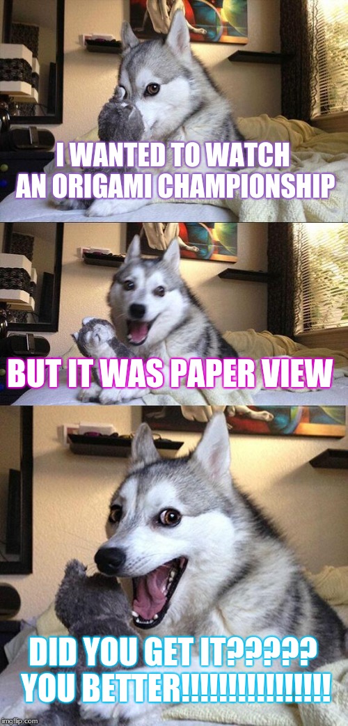 Bad Pun Dog | I WANTED TO WATCH AN ORIGAMI CHAMPIONSHIP; BUT IT WAS PAPER VIEW; DID YOU GET IT????? YOU BETTER!!!!!!!!!!!!!!!! | image tagged in memes,bad pun dog | made w/ Imgflip meme maker