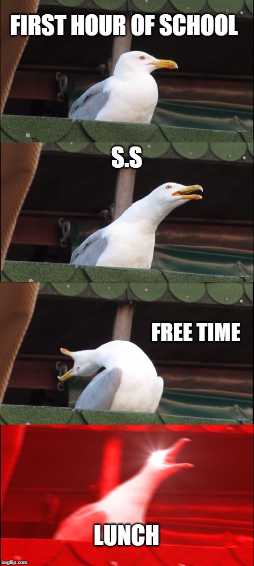 Inhaling Seagull Meme | FIRST HOUR OF SCHOOL; S.S; FREE TIME; LUNCH | image tagged in memes,inhaling seagull | made w/ Imgflip meme maker