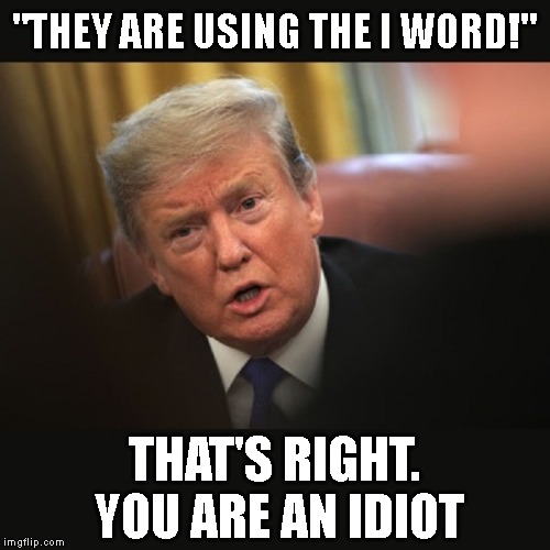 Oh Poor Trump Baby! | "THEY ARE USING THE I WORD!"; THAT'S RIGHT. YOU ARE AN IDIOT | image tagged in impeach trump,donald trump is an idiot,criminal,conman,liar | made w/ Imgflip meme maker
