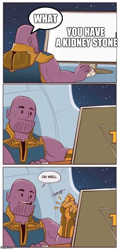 Oh Well Thanos | WHAT; YOU HAVE A KIDNEY STONE | image tagged in oh well thanos | made w/ Imgflip meme maker