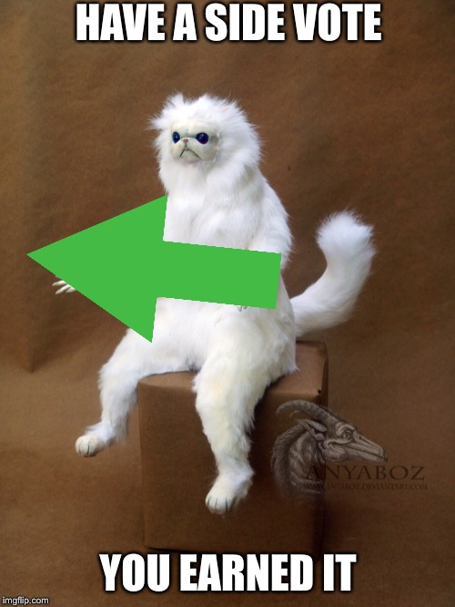 Persian Cat Room Guardian Single Meme | HAVE A SIDE VOTE YOU EARNED IT | image tagged in memes,persian cat room guardian single | made w/ Imgflip meme maker