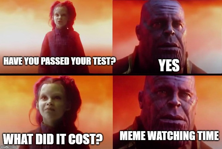 thanos what did it cost | YES; HAVE YOU PASSED YOUR TEST? MEME WATCHING TIME; WHAT DID IT COST? | image tagged in thanos what did it cost | made w/ Imgflip meme maker
