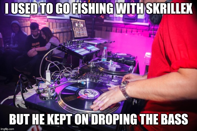 DJS TODAY | I USED TO GO FISHING WITH SKRILLEX; BUT HE KEPT ON DROPING THE BASS | image tagged in funny,too funny | made w/ Imgflip meme maker