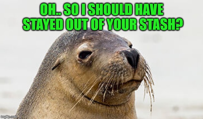 DAYUMMMM | OH.. SO I SHOULD HAVE STAYED OUT OF YOUR STASH? | image tagged in dayummmm | made w/ Imgflip meme maker