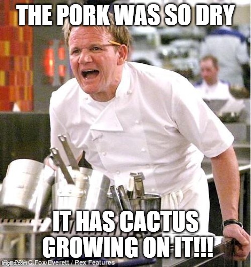Desert Roasted Pig | THE PORK WAS SO DRY; IT HAS CACTUS GROWING ON IT!!! | image tagged in memes,chef gordon ramsay | made w/ Imgflip meme maker