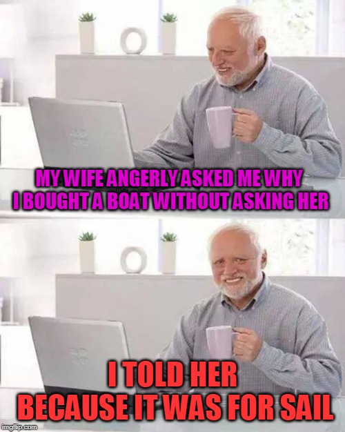 Hide the Pain Harold | MY WIFE ANGERLY ASKED ME WHY I BOUGHT A BOAT WITHOUT ASKING HER; I TOLD HER BECAUSE IT WAS FOR SAIL | image tagged in memes,hide the pain harold | made w/ Imgflip meme maker