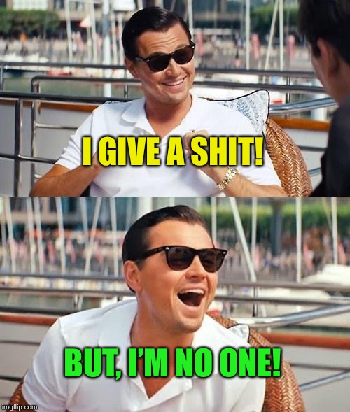 Leonardo Dicaprio Wolf Of Wall Street Meme | I GIVE A SHIT! BUT, I’M NO ONE! | image tagged in memes,leonardo dicaprio wolf of wall street | made w/ Imgflip meme maker