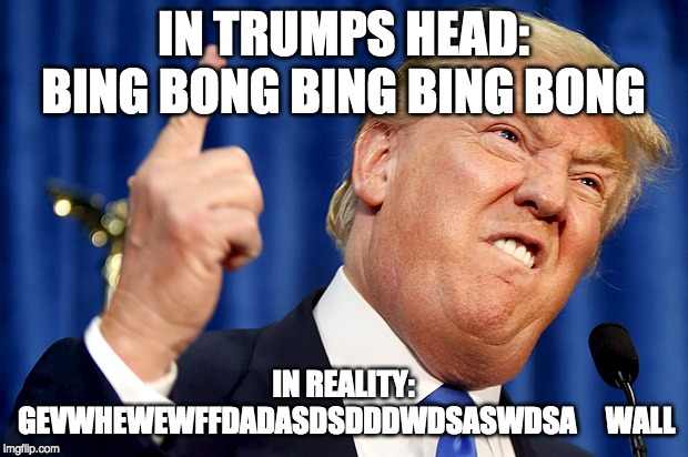 Donald Trump | IN TRUMPS HEAD: BING BONG BING BING BONG; IN REALITY: GEVWHEWEWFFDADASDSDDDWDSASWDSA     WALL | image tagged in donald trump | made w/ Imgflip meme maker