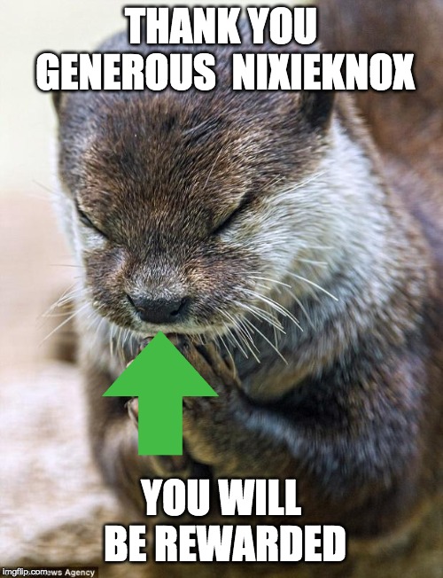 Thank you Lord Otter | THANK YOU GENEROUS 
NIXIEKNOX YOU WILL BE REWARDED | image tagged in thank you lord otter | made w/ Imgflip meme maker