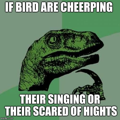 birds | IF BIRD ARE CHEERPING; THEIR SINGING OR THEIR SCARED OF HIGHTS | image tagged in memes,philosoraptor | made w/ Imgflip meme maker