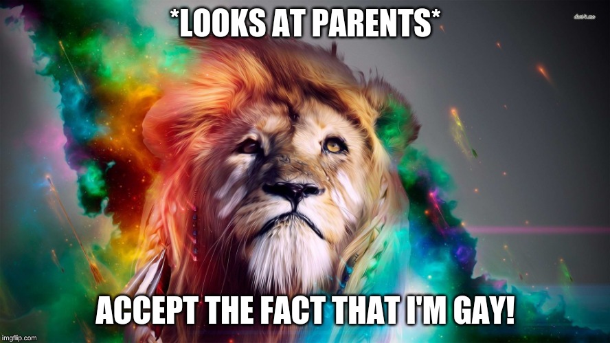 Accept Me For Who I Am | *LOOKS AT PARENTS*; ACCEPT THE FACT THAT I'M GAY! | image tagged in majestic rainbow lion,memes,gay,lgbtq | made w/ Imgflip meme maker