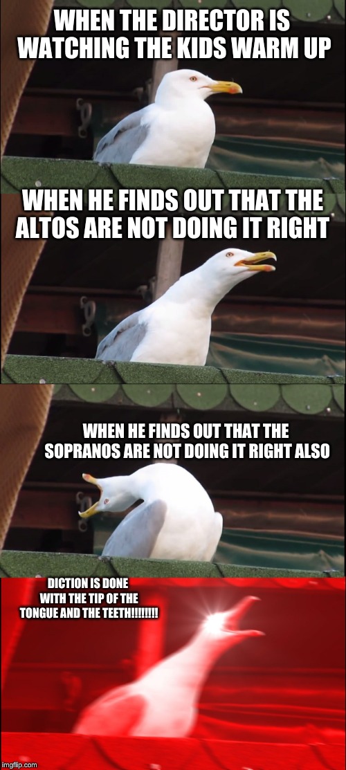 Inhaling Seagull Meme | WHEN THE DIRECTOR IS WATCHING THE KIDS WARM UP; WHEN HE FINDS OUT THAT THE ALTOS ARE NOT DOING IT RIGHT; WHEN HE FINDS OUT THAT THE SOPRANOS ARE NOT DOING IT RIGHT ALSO; DICTION IS DONE WITH THE TIP OF THE TONGUE AND THE TEETH!!!!!!!! | image tagged in memes,inhaling seagull | made w/ Imgflip meme maker