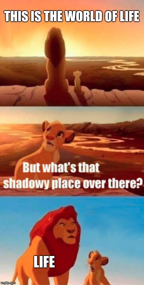 Simba Shadowy Place | THIS IS THE WORLD OF LIFE; LIFE | image tagged in memes,simba shadowy place | made w/ Imgflip meme maker