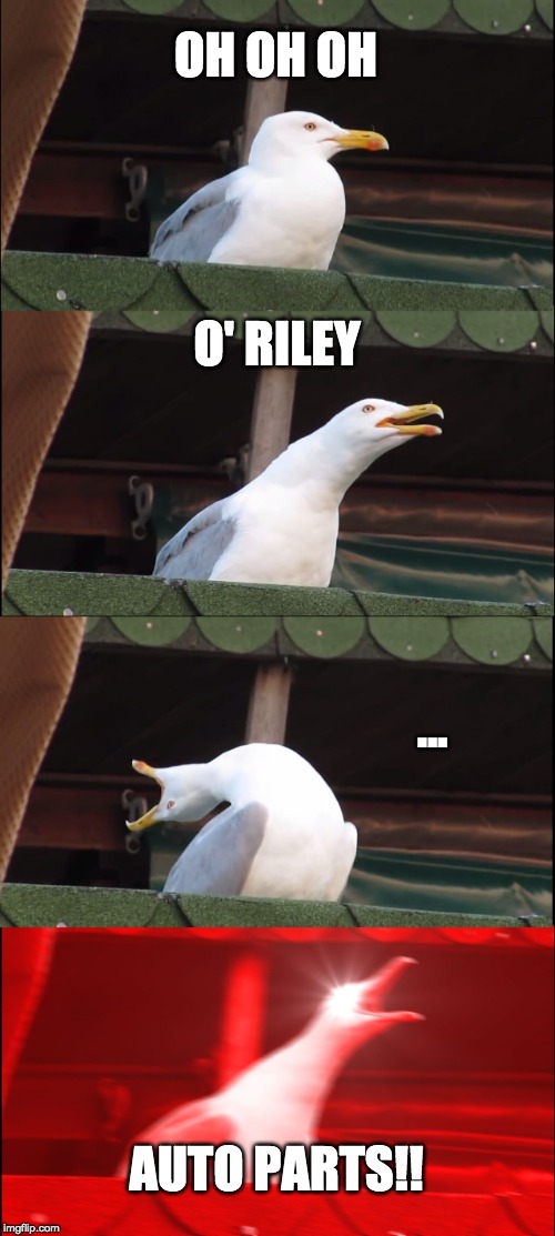 Inhaling Seagull Meme | OH OH OH; O' RILEY; ... AUTO PARTS!! | image tagged in memes,inhaling seagull | made w/ Imgflip meme maker